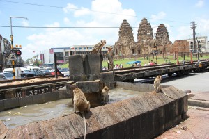 Affen am Brunnen in Lop Buri vor dem Prang Sam Yot
