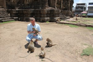 Affenfütterung in Lop Buri am Phra Prang Sam Yot