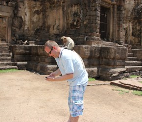 In Lop Buri in Thailand springen Dir die Affen auf den Rücken