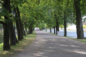 Allee im Schlosspark Schwerin