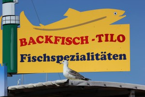Backfisch Tilo Warnemünde am Alten Strom