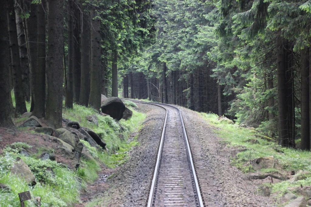 Bahngleis im Wald auf der Fahrt von Schierke zum Brocken mit der Brockenbahn