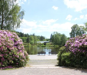 Kurpark Braunlage