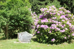 Kurpark Braunlage