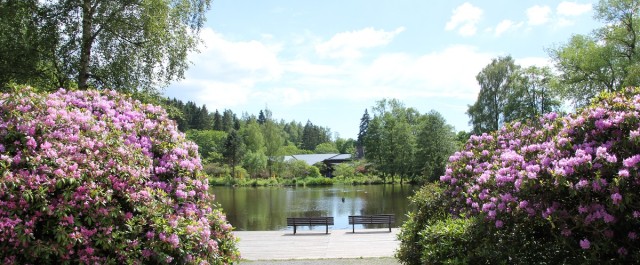 Kurpark Braunlage