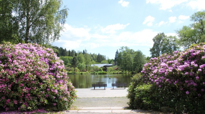 Kurpark Braunlage