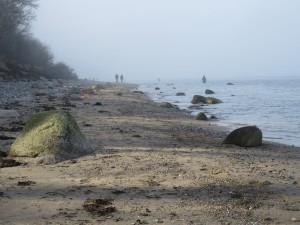 Dänisch-Nienhof Naturstrand Nebel an der Ostsee