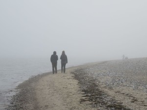 Nebel in Dänisch-Nienhof am Ostseestrand
