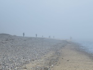 Dänisch-Nienhof Strand bei Nebel