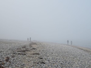 Strand Dänisch-Nienhof Schwedeneck Nebel