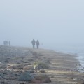 Dänisch-Nienhof Ostseestrand Nebel