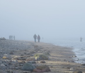 Dänisch-Nienhof Ostseestrand Nebel