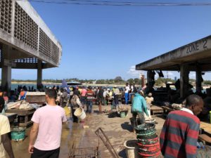 MZIZMA Fischmarkt Daressalam Tansania