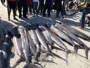Fische Mzizma Fish Market Dar es Salaam