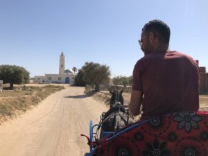 Entspannte Kutschfahrt auf Djerba