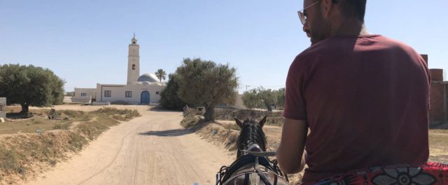 Entspannte Kutschfahrt auf Djerba