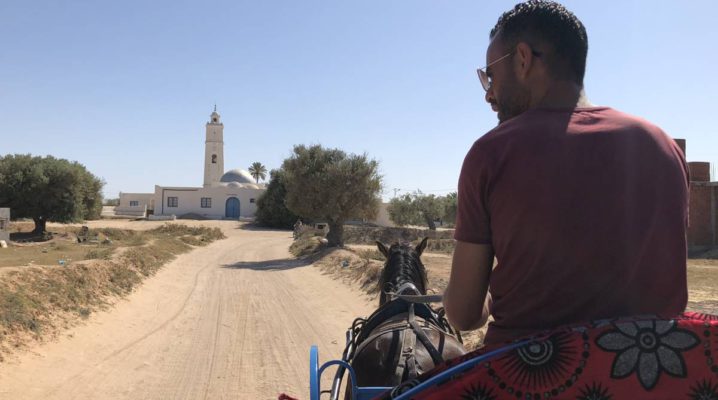 Entspannte Kutschfahrt auf Djerba
