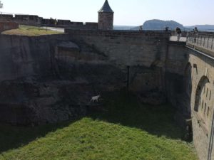 Festung Königstein Festungsmauern