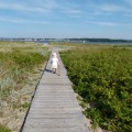 Falckensteiner Strand an der Kieler Förde