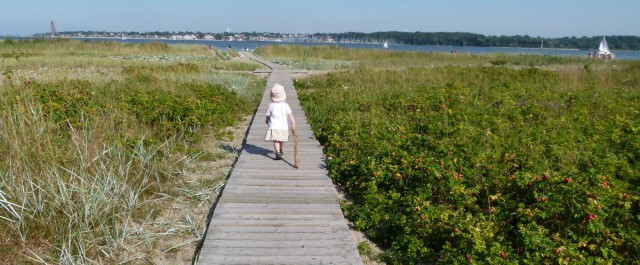Falckensteiner Strand an der Kieler Förde