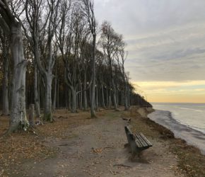 Nienhagen Gespensterwald Ostsee