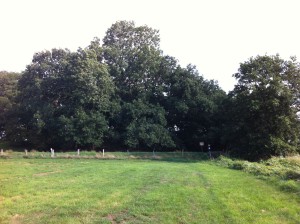 Archäologisches Denkmal Großer Schlichtenberg in Schleswig-Holstein