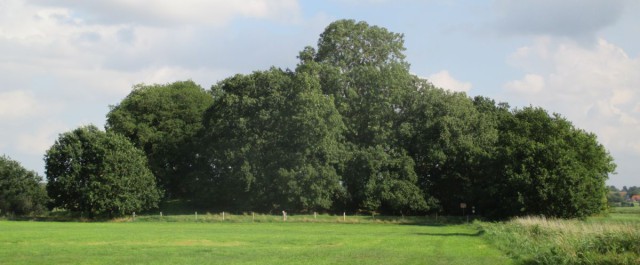Großer Schlichtenberg