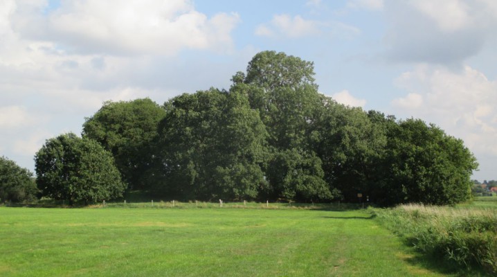 Großer Schlichtenberg