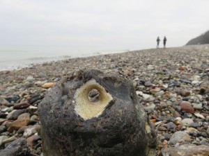 Hühnergott an der Ostsee