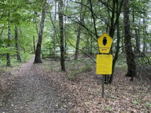 Waldweg Ihlsee Naturschutzgebiet