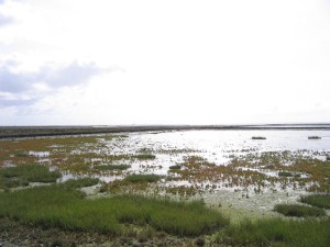 Nordseeinsel Föhr