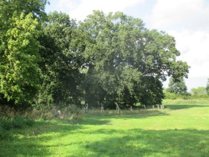 Turmhügelburg "Kleiner Schlichtenberg" nahe Futterkamp im Kreis Plön in Schleswig-Holstein