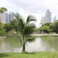 See im Lumphini-Park Bangkok