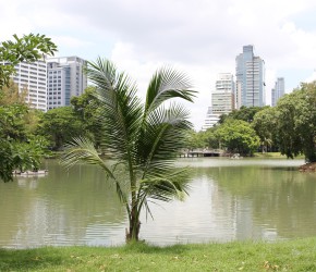 See im Lumphini-Park Bangkok