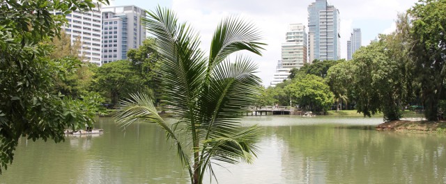 See im Lumphini-Park Bangkok