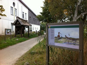 Informationstafel im NABU Wasservogelreservat Wallnau auf Fehmarn in Schleswig-Holstein