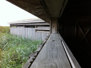 Eck-Hide (Beobachtungsstand) im NABU Wasservogelreservat Wallnau auf Fehmarn
