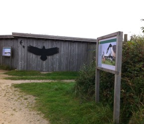 Eck-Hide (Beobachtungsstand) im NABU Wasservogelreservat Wallnau auf Fehmarn