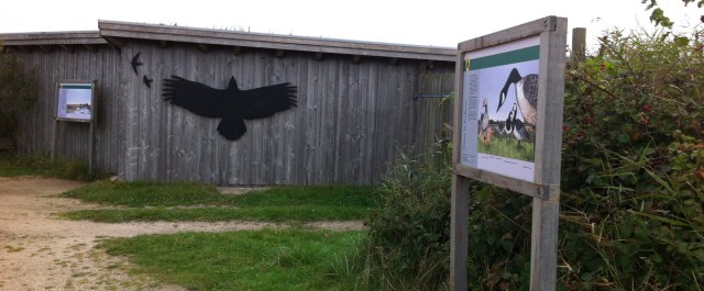 Eck-Hide (Beobachtungsstand) im NABU Wasservogelreservat Wallnau auf Fehmarn