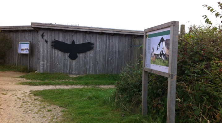 Eck-Hide (Beobachtungsstand) im NABU Wasservogelreservat Wallnau auf Fehmarn