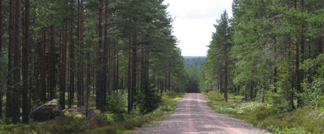 Nationalpark Norra Kvill Schweden
