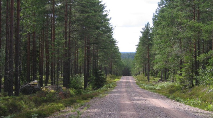 Nationalpark Norra Kvill Schweden