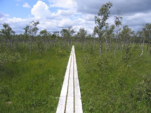 Nationalpark Store Mosse