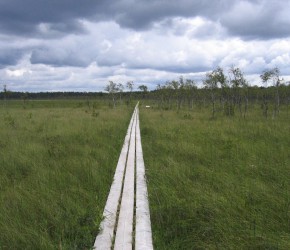 Nationalpark Store Mosse Schweden