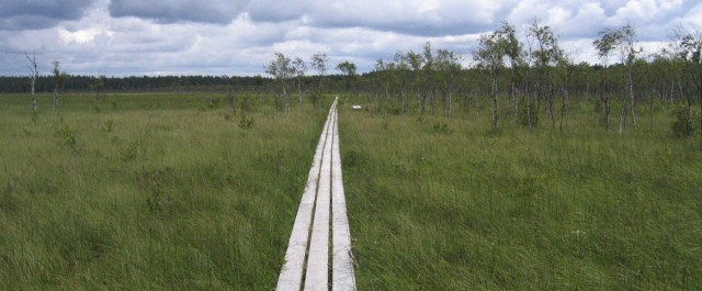 Nationalpark Store Mosse Schweden