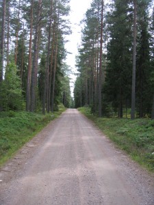 Nationalpark Norra Kvill Schweden