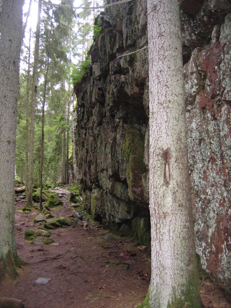 Nationalpark Norra Kvill Schweden