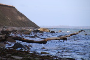 Weissenhaus Ostsee Steilküste