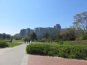 Ostseeklinik Danmp