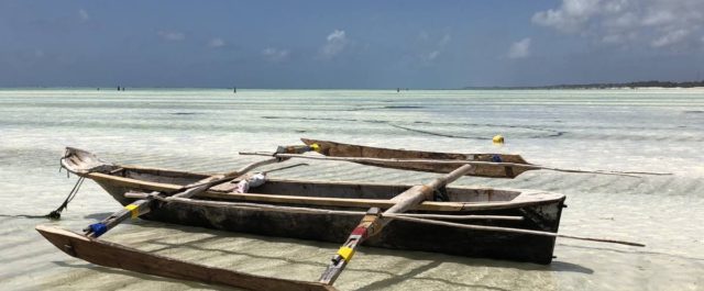 Paje Beach Zanzibar